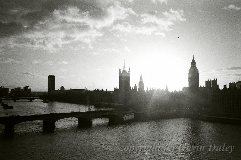 Houses of Parliament from London Eye, London 12360006.JPG